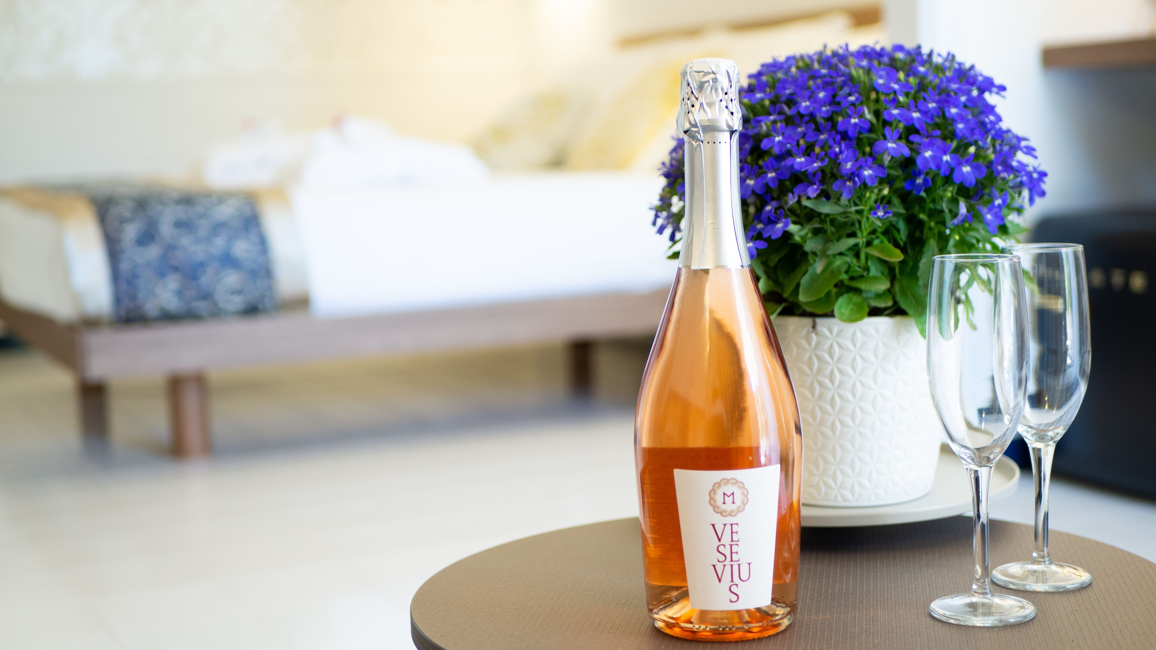 Une bouteille de vin Veuve, deux verres à vin et une plante en pot aux fleurs violettes, le tout posé sur une table dans une chambre d’hôtel.