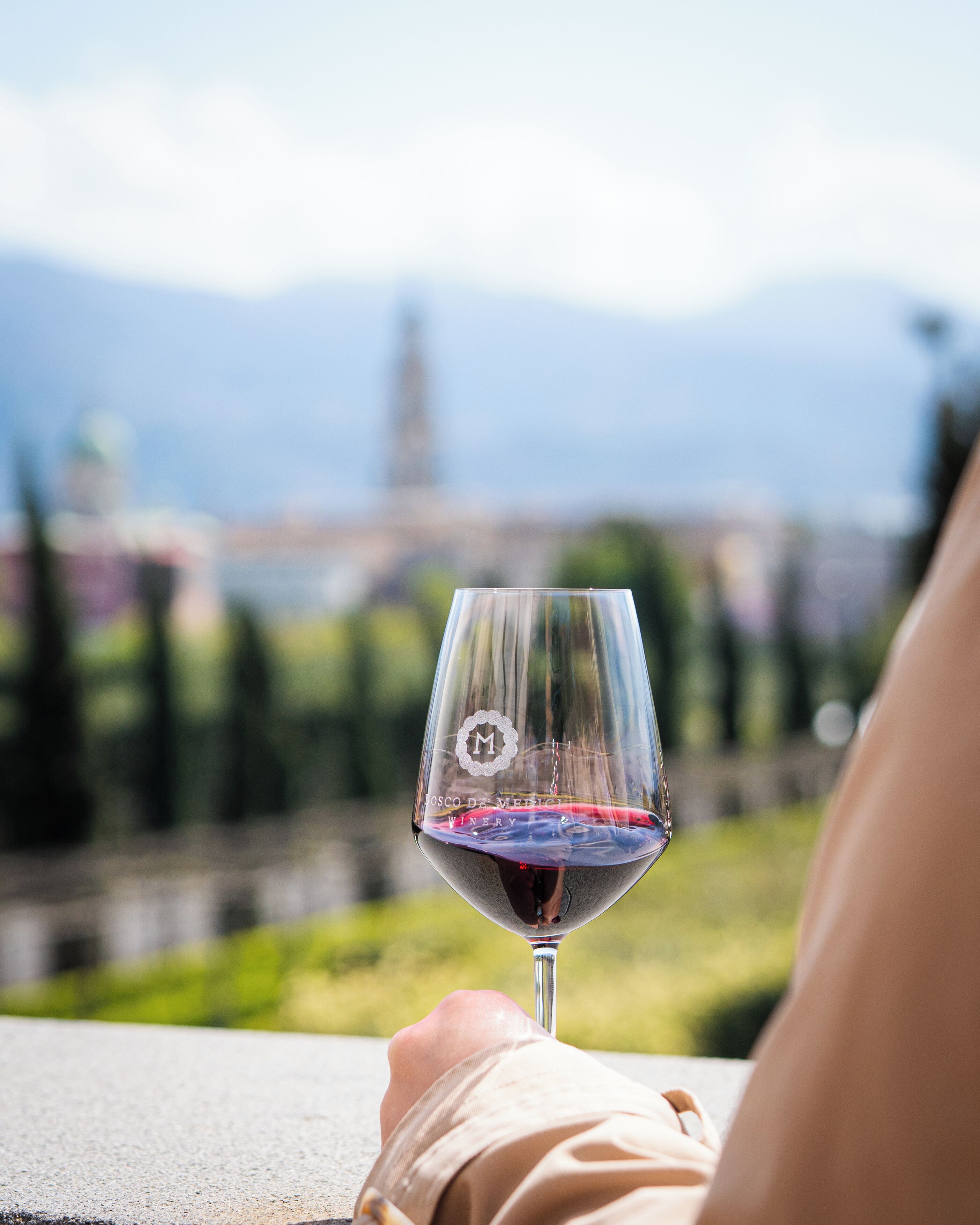 A wine glass with a reflection, held by a person, with a blurred cityscape and mountains in the background.