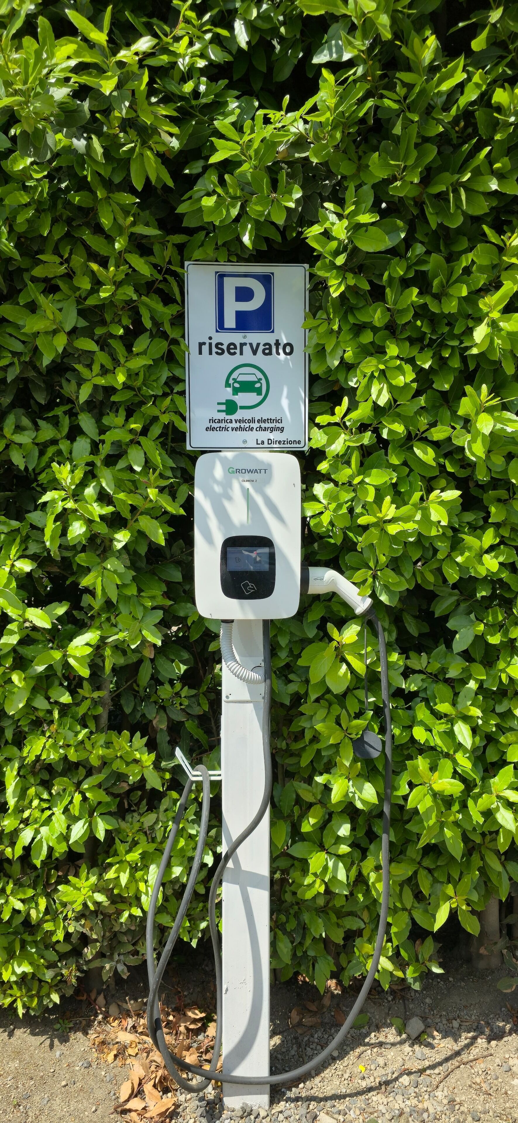 A parking sign with a charging station, surrounded by dense green foliage.