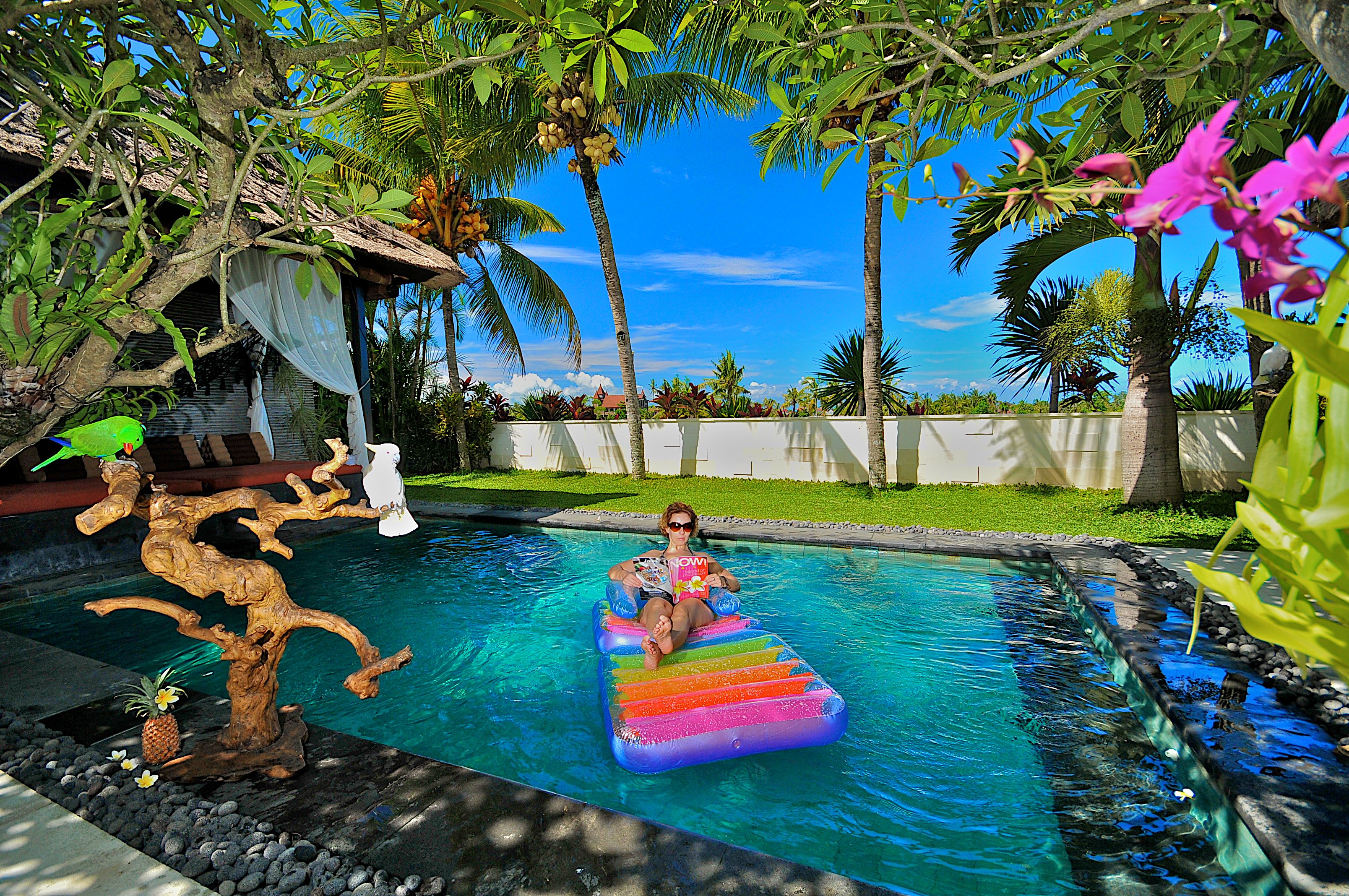 Uma piscina com uma plataforma flutuante, rodeada por plantas tropicais e palmeiras.