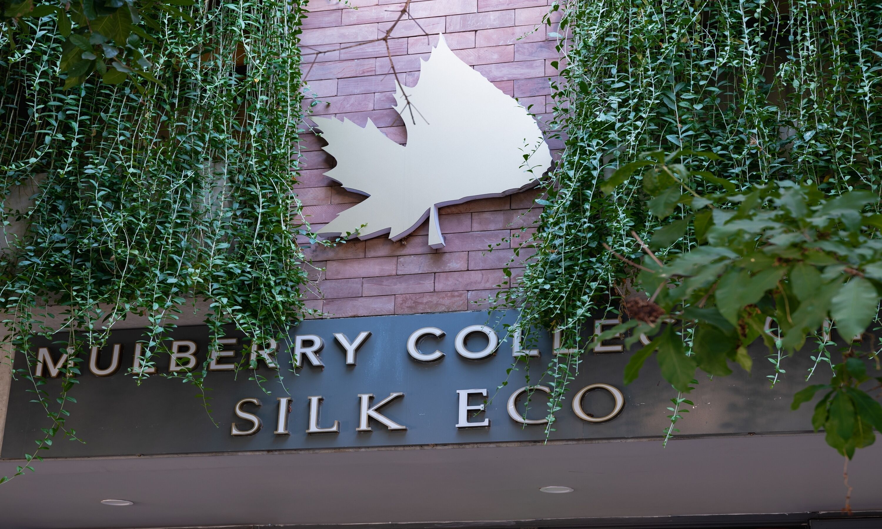 A sign for Mulberry College Silk Eco with a stylized bird logo.