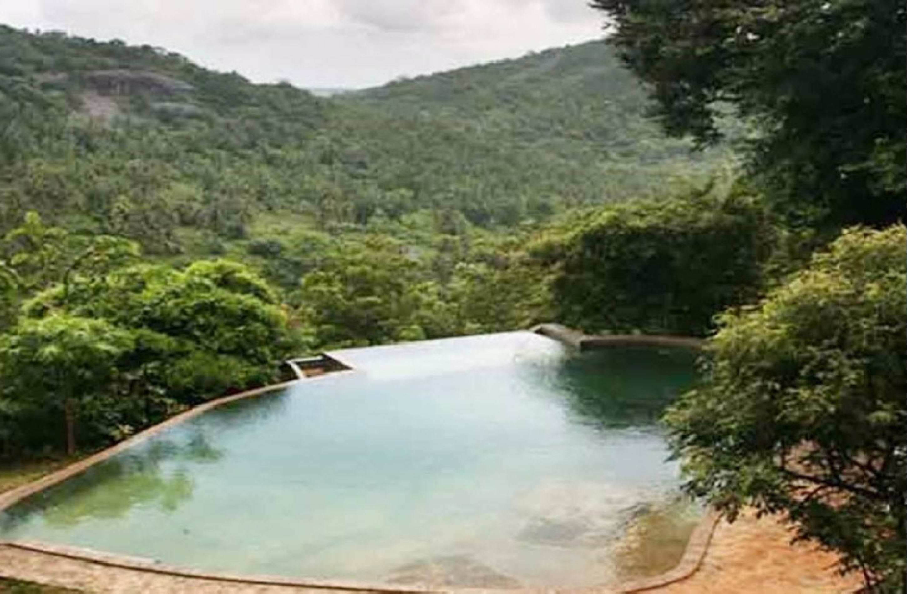 A rectangular pool with a clear blue water surface, surrounded by lush greenery and trees.