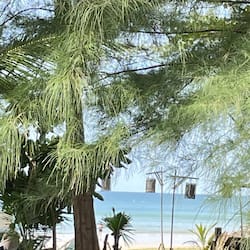 On the beach, beach bar