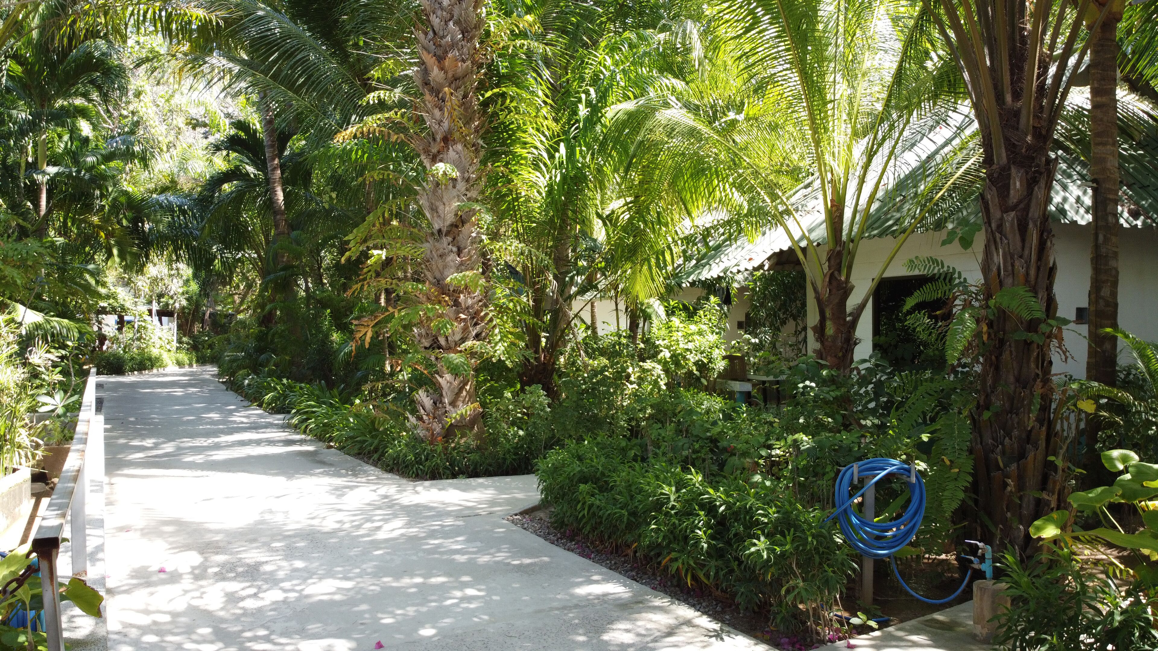 Photo - Lanta Island Resort