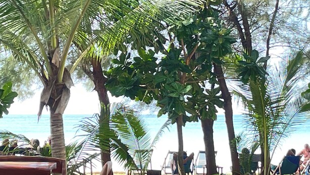 Eine Strandlandschaft mit Palmen, Liegestühlen und Blick aufs Meer.