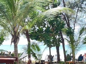 A beachside setting with palm trees, lounge chairs, and a view of the sea. - Lanta Island Resort (Ko Lanta)