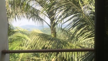 Vista aérea