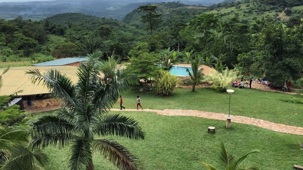 A lush green landscape with a swimming pool, palm trees, and a stone pathway. - Sweet Mother Eco Resort (Aburi)