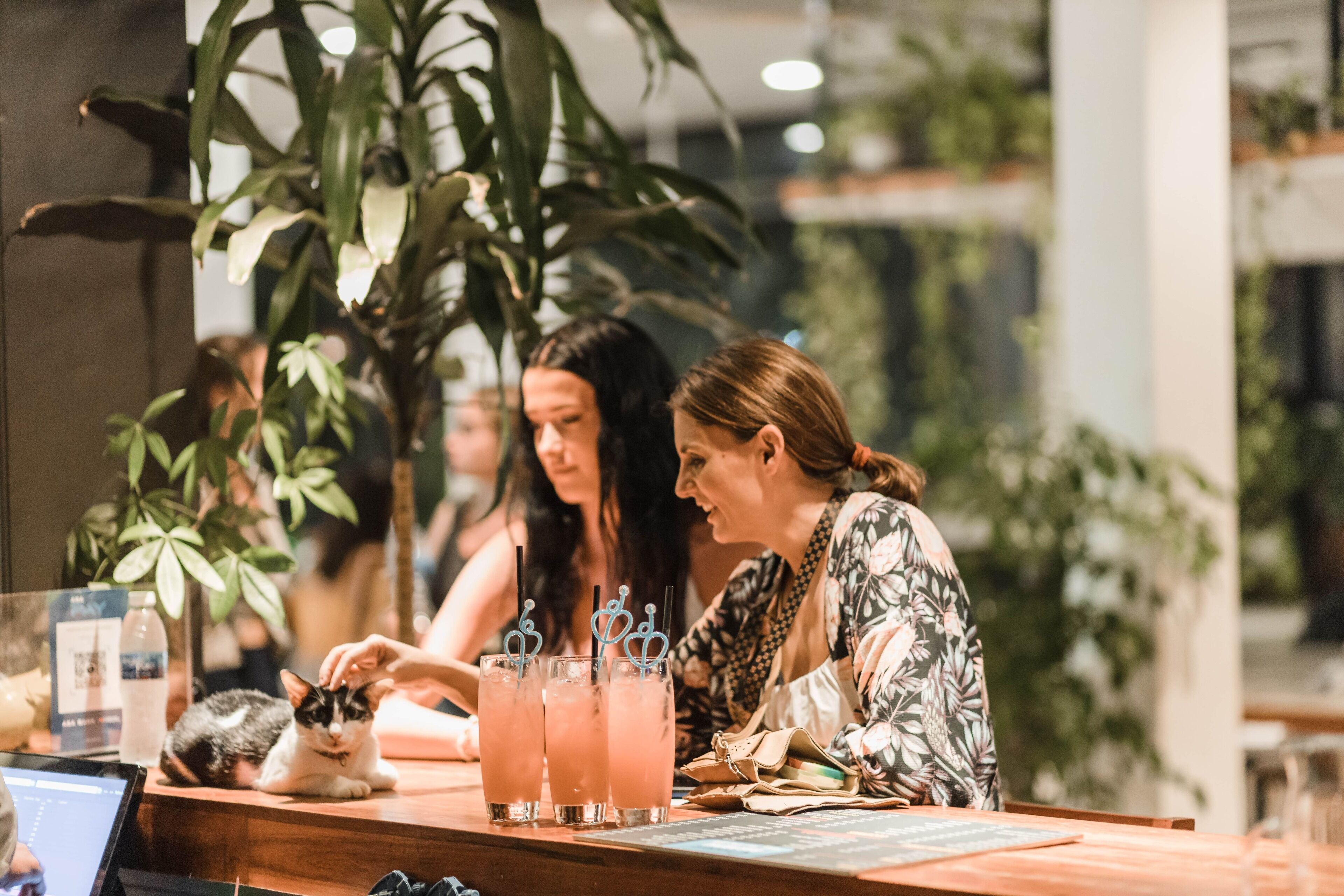 Photo - Onederz Siem Reap