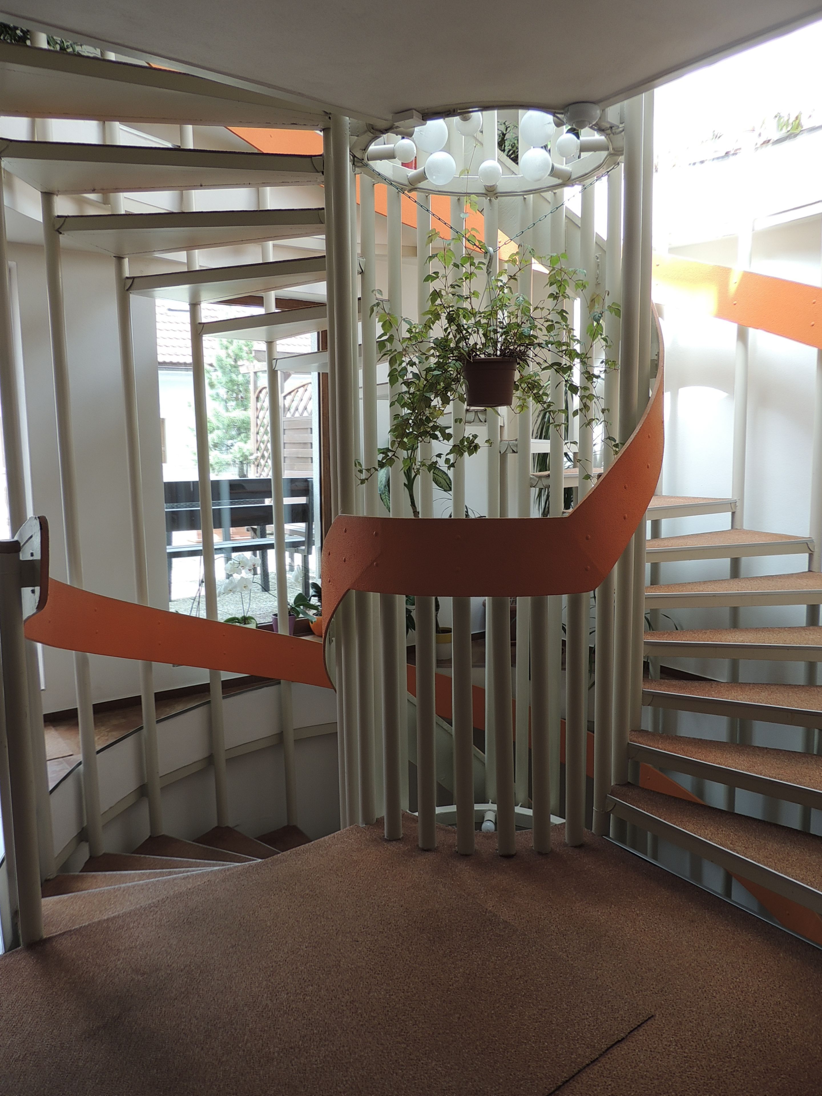 A spiral staircase with a brown carpet, white railings, and a hanging plant.