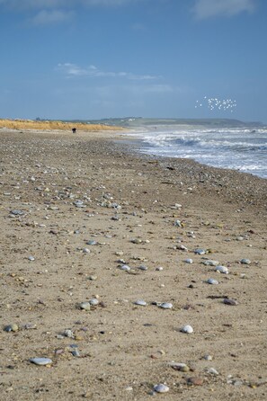 A beach with scattered pebbles and a person in the distance. - Garryvoe Beach Homes (Garryvoe)