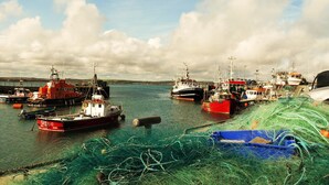 A harbor with multiple fishing boats docked. - Garryvoe Beach Homes (Garryvoe)