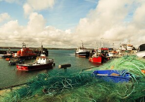 Exterior detail - Garryvoe Beach Homes (Garryvoe)
