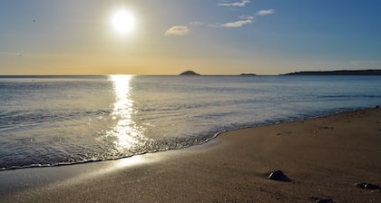 Garryvoe Beach Homes