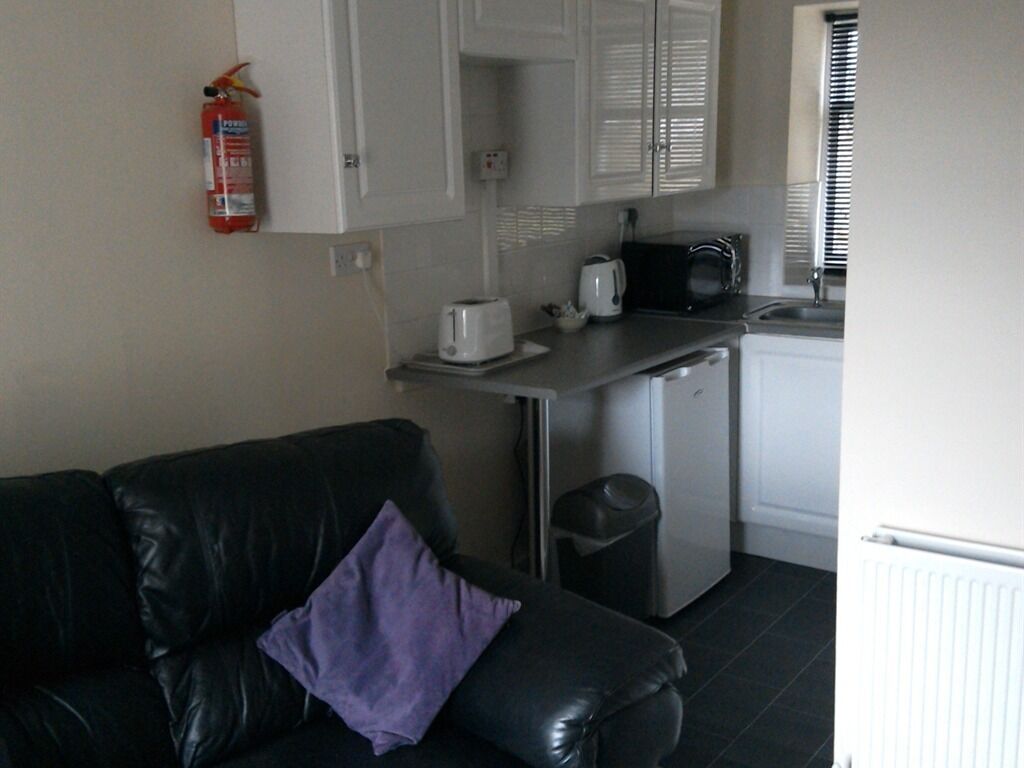 A compact living space with a kitchenette, a black leather sofa with a purple pillow, a white cabinet, a microwave, a toaster, and a fire extinguisher on the wall.