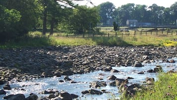 A rocky riverbed with a wooden fence and trees in the background.