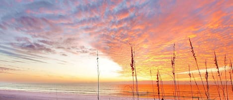 Beach nearby, waterskiing, rowing, fishing