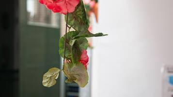 A plant with pink flowers hanging in an office setting.
