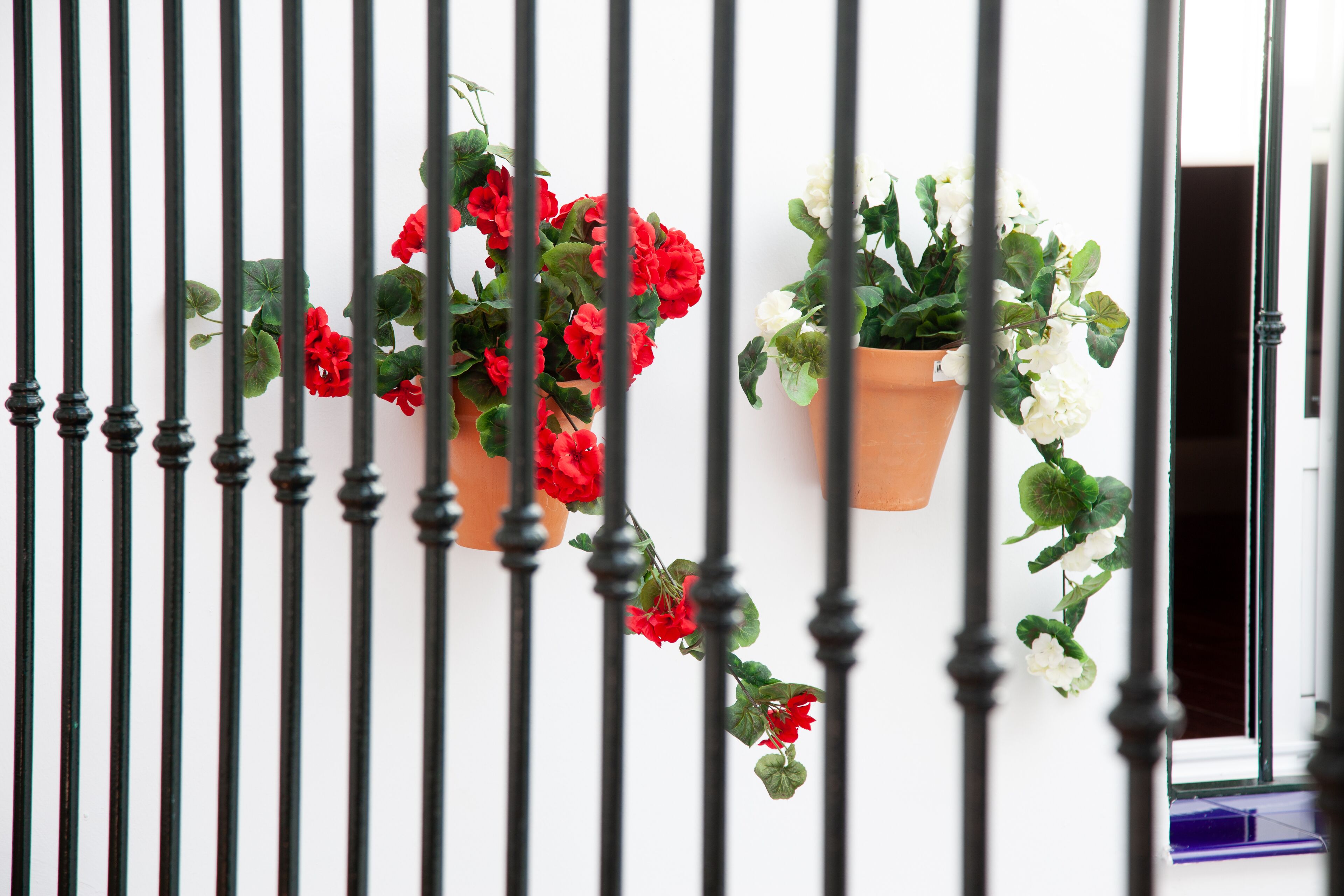 Foto - Noches en Triana