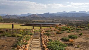 Outdoor pool - Rietfontein Ostrich Palace (Oudtshoorn)