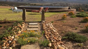 Outdoor pool - Rietfontein Ostrich Palace (Oudtshoorn)