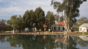 Exterior detail - Rietfontein Ostrich Palace (Oudtshoorn)