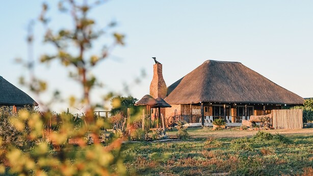Exterior - Charihandra Game Lodge (Addo)