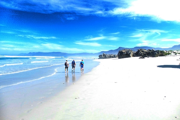 Ecotours
