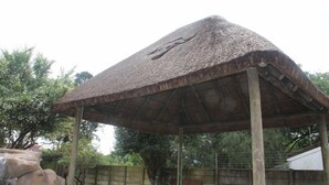 Een rieten kiosk met houten frame, gelegen in een natuurlijke omgeving met bomen en een rotsformatie.