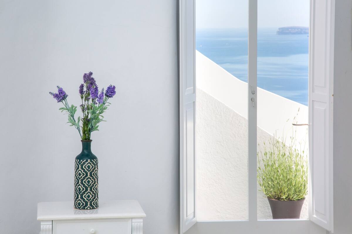 A window with a view of the sea and a potted plant on the windowsill.
