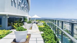 Une terrasse sur le toit agrémentée de plantes en pot, offrant une vue dégagée sur la ville et dotée d’une rambarde en verre.