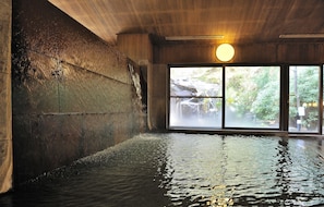 Hot springs - Kanbayashi Hotel Senjukaku (Yamanouchi)