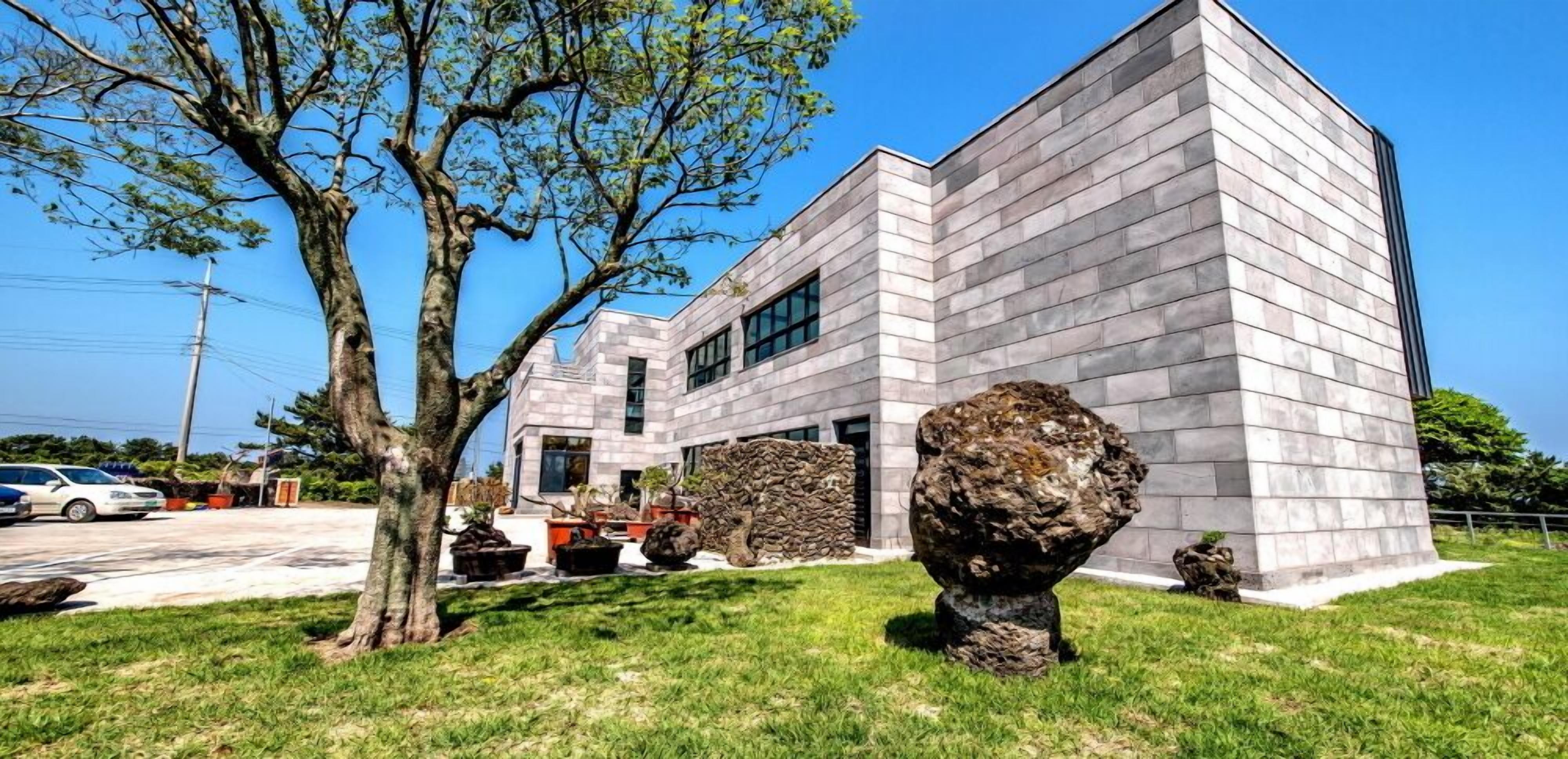 Un edificio moderno con fachada de piedra, un árbol grande en primer plano y un coche aparcado cerca.