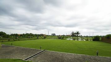 A large, open grassy area with a paved walkway leading to a building.