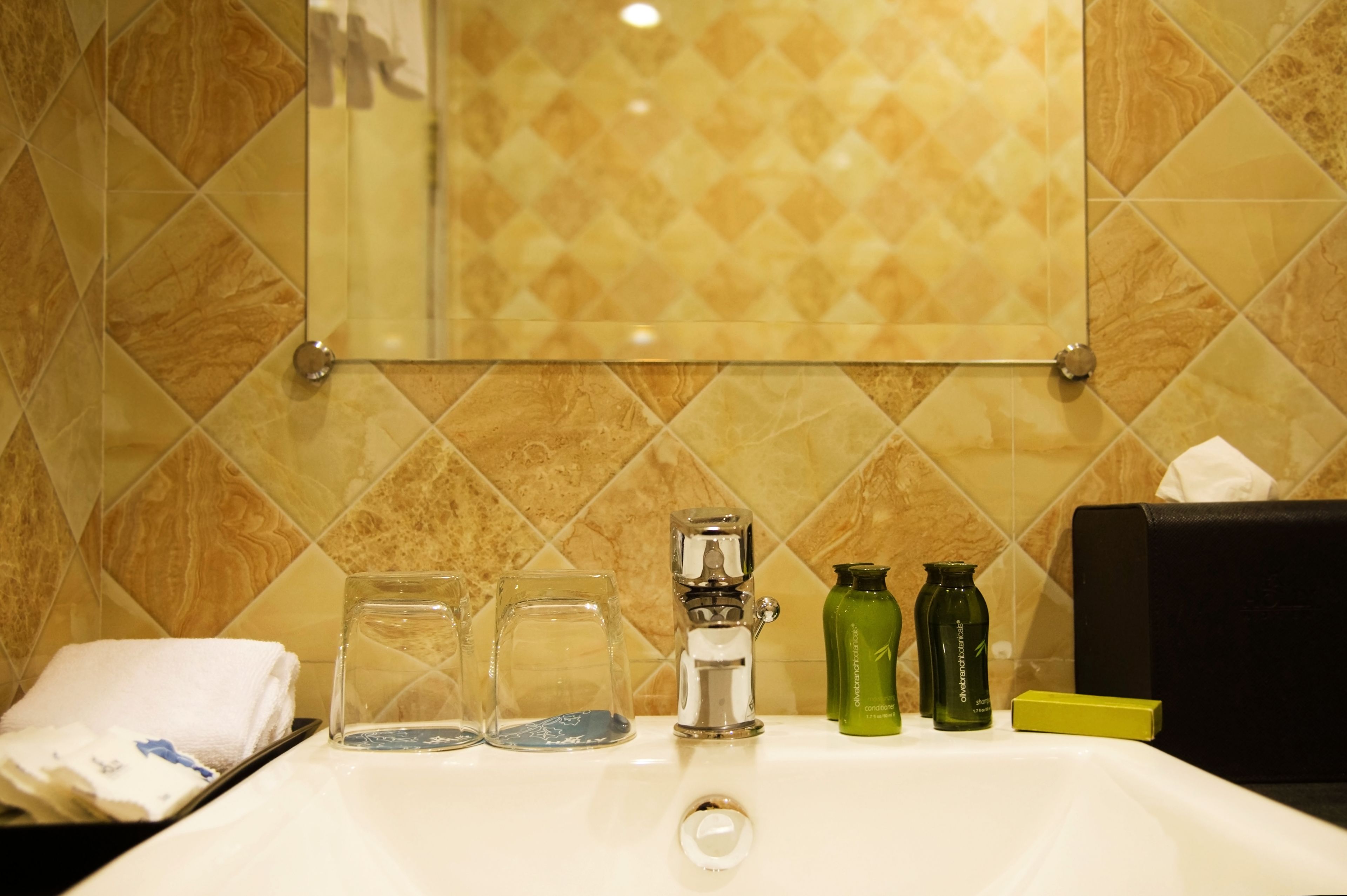 deluxe twin | bathroom | shower, rainfall showerhead, free toiletries, hair dryer