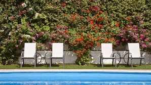Outdoor pool, pool umbrellas, pool loungers - Spetses Retreat Accommodation (Spetses)