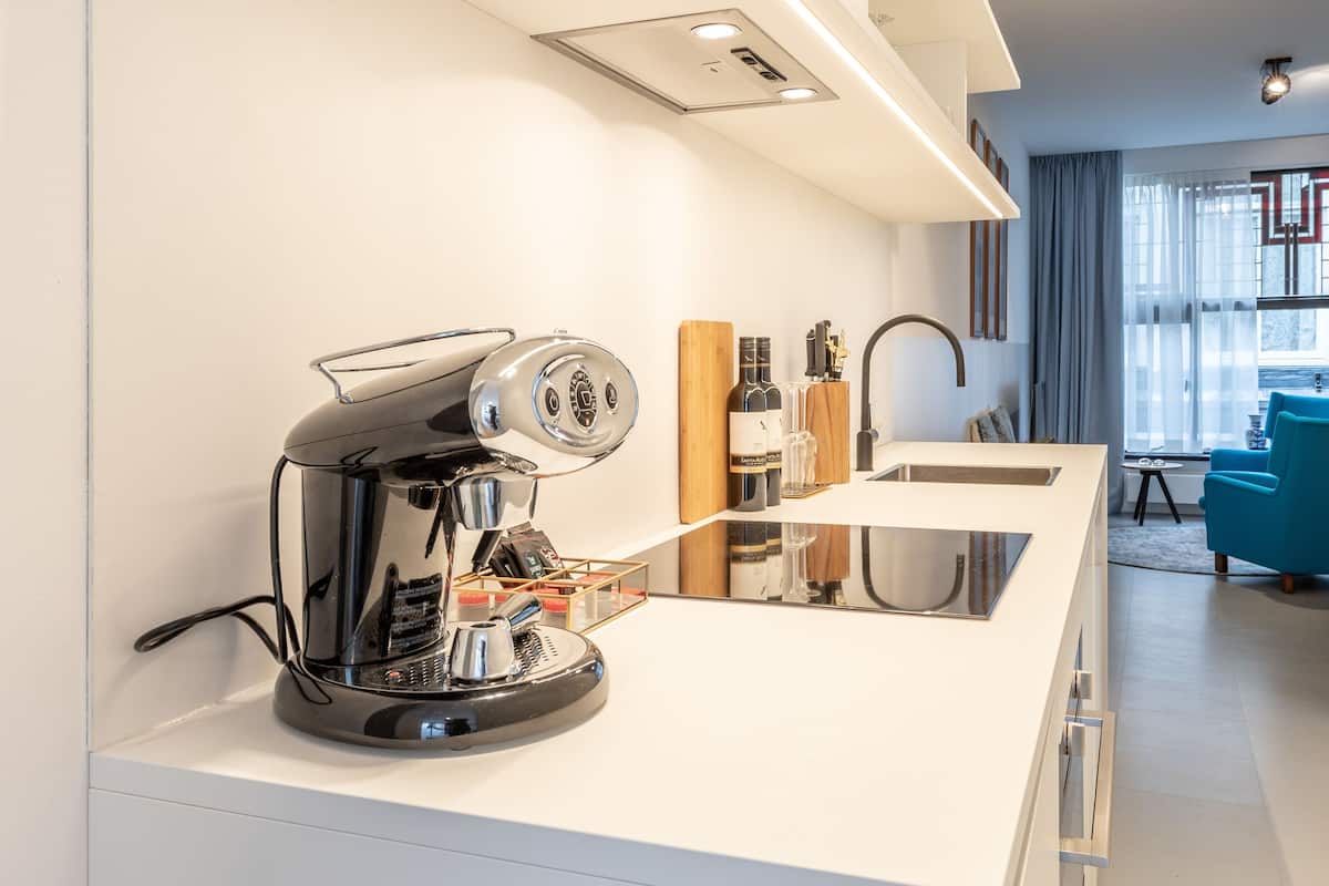 junior suite | private kitchen | fridge, microwave, oven, stovetop