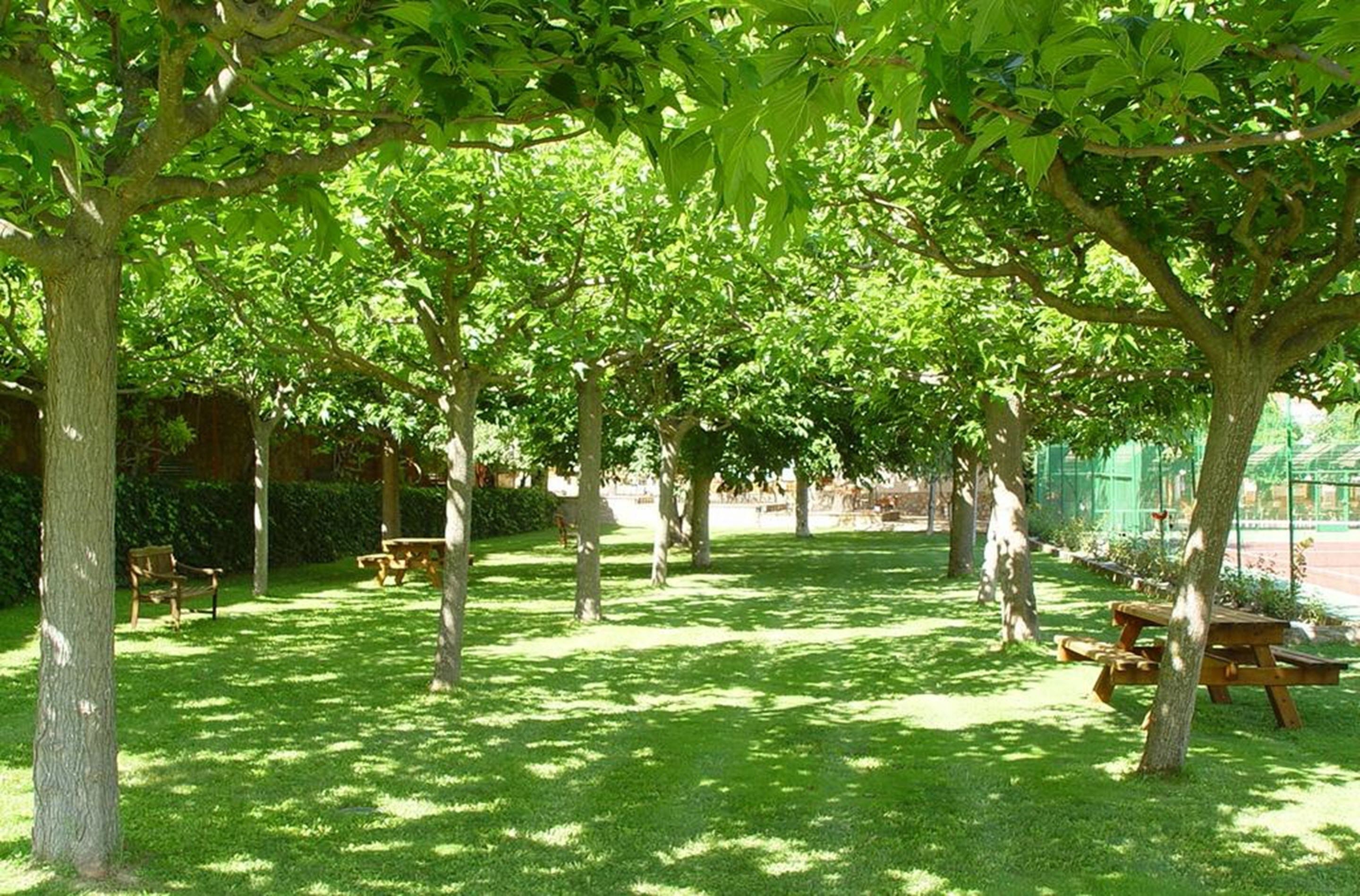 A park with picnic tables and benches under trees.
