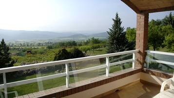 A balcony with a glass railing overlooking a green landscape and distant mountains.