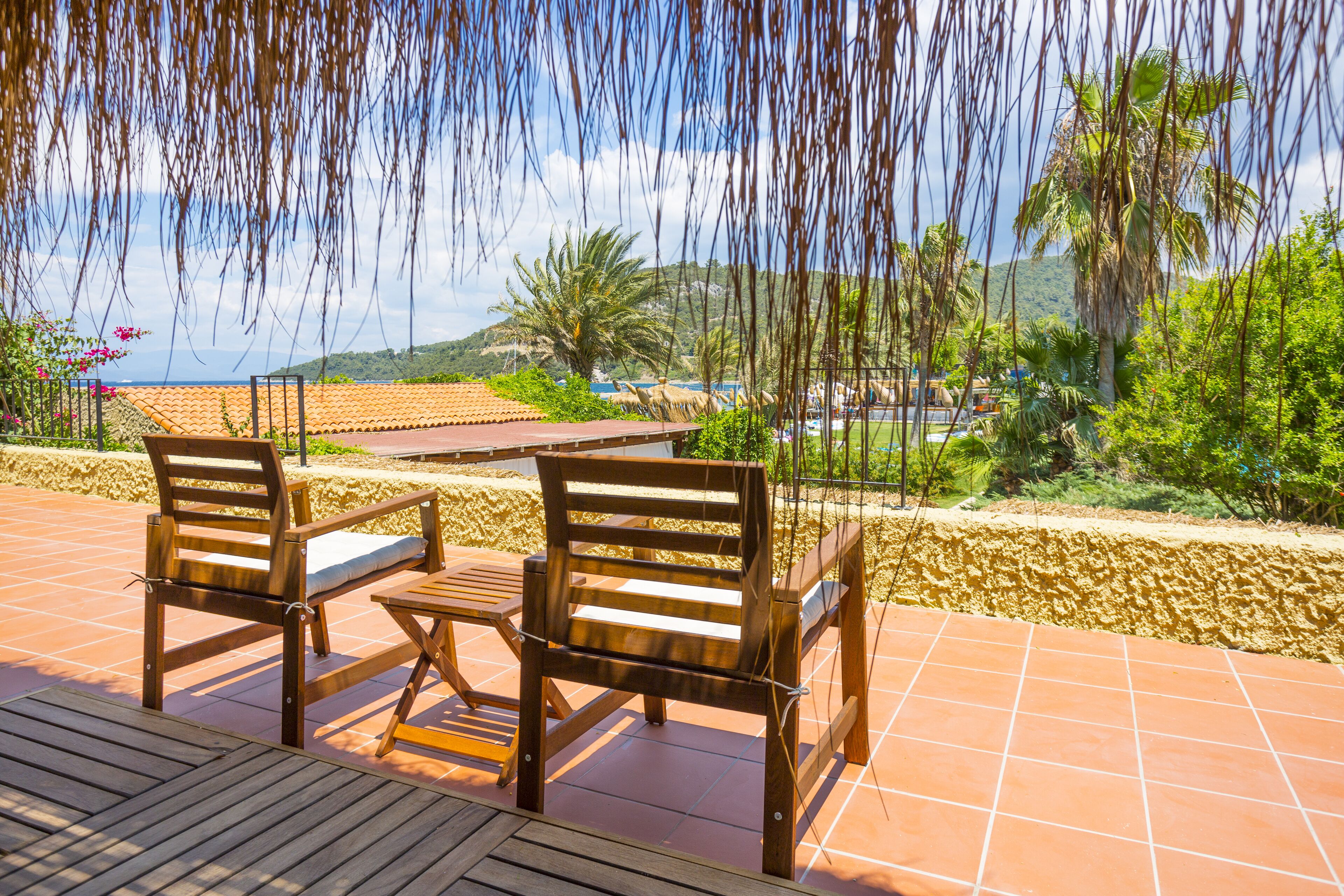 Terrace Suite | View from room