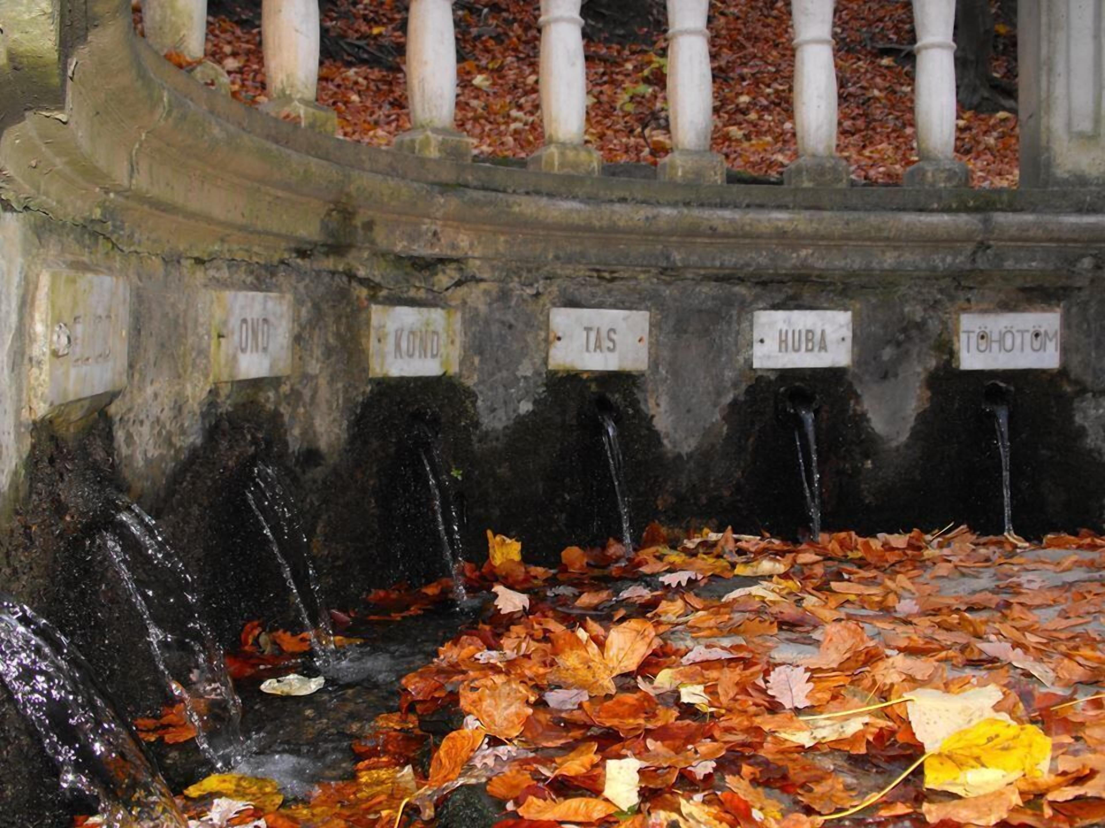 Une structure circulaire en pierre, dotée de gargouilles d’où jaillit l’eau, chacune portant un nom gravé, et un sol recouvert de feuilles d’automne.