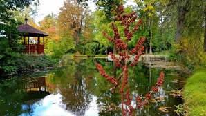 A tranquil pond with a gazebo and dense foliage in the background. - Főnix Hotel Bükfürdő (Buk)