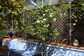 Teras/patio