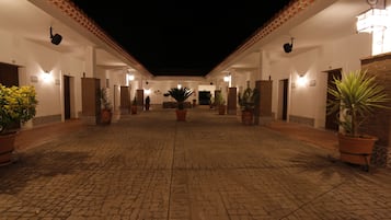 Cưỡi ngựa