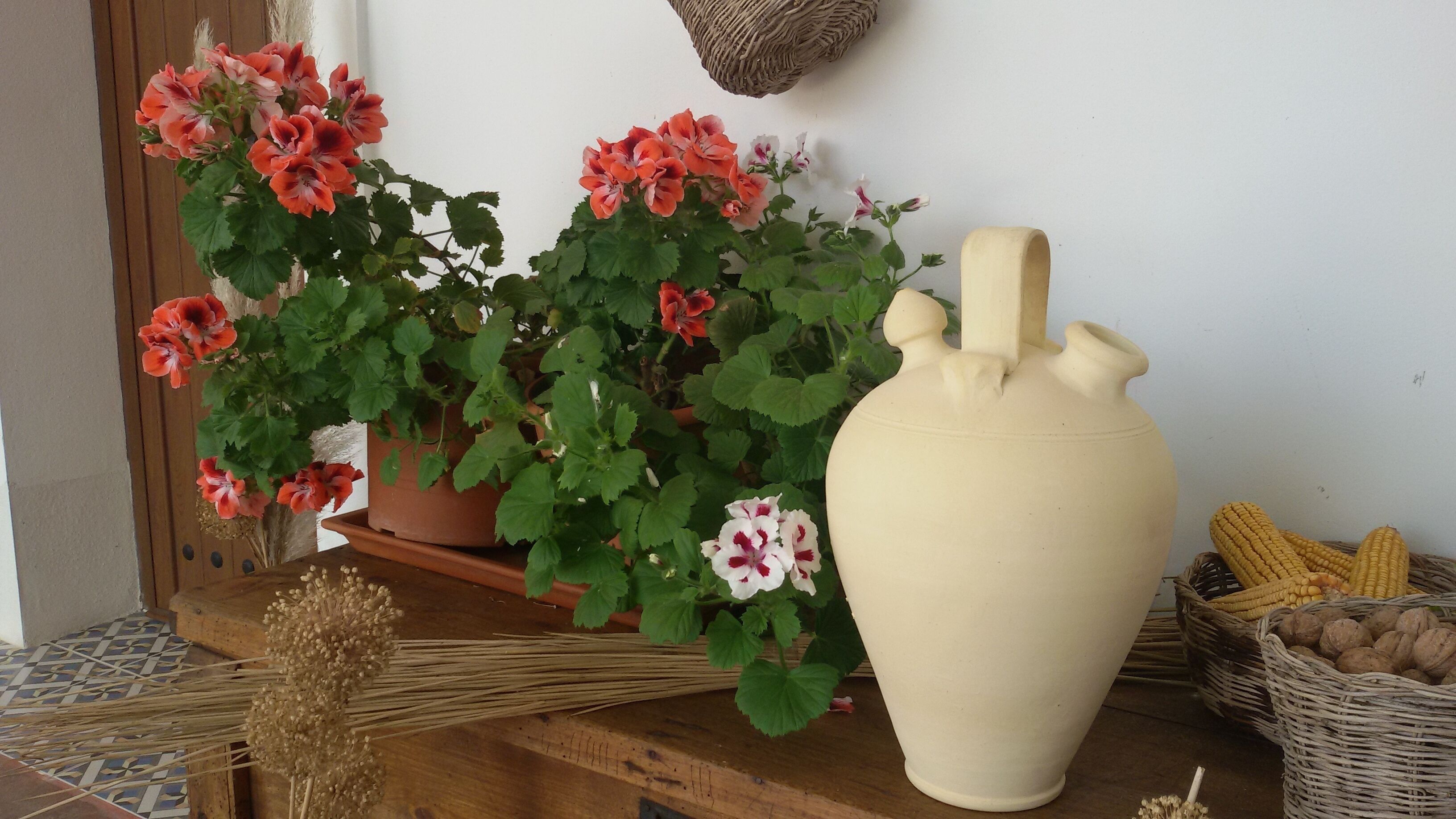 A potted plant with red and white flowers, a large vase, and baskets of corn and nuts on a wooden surface.