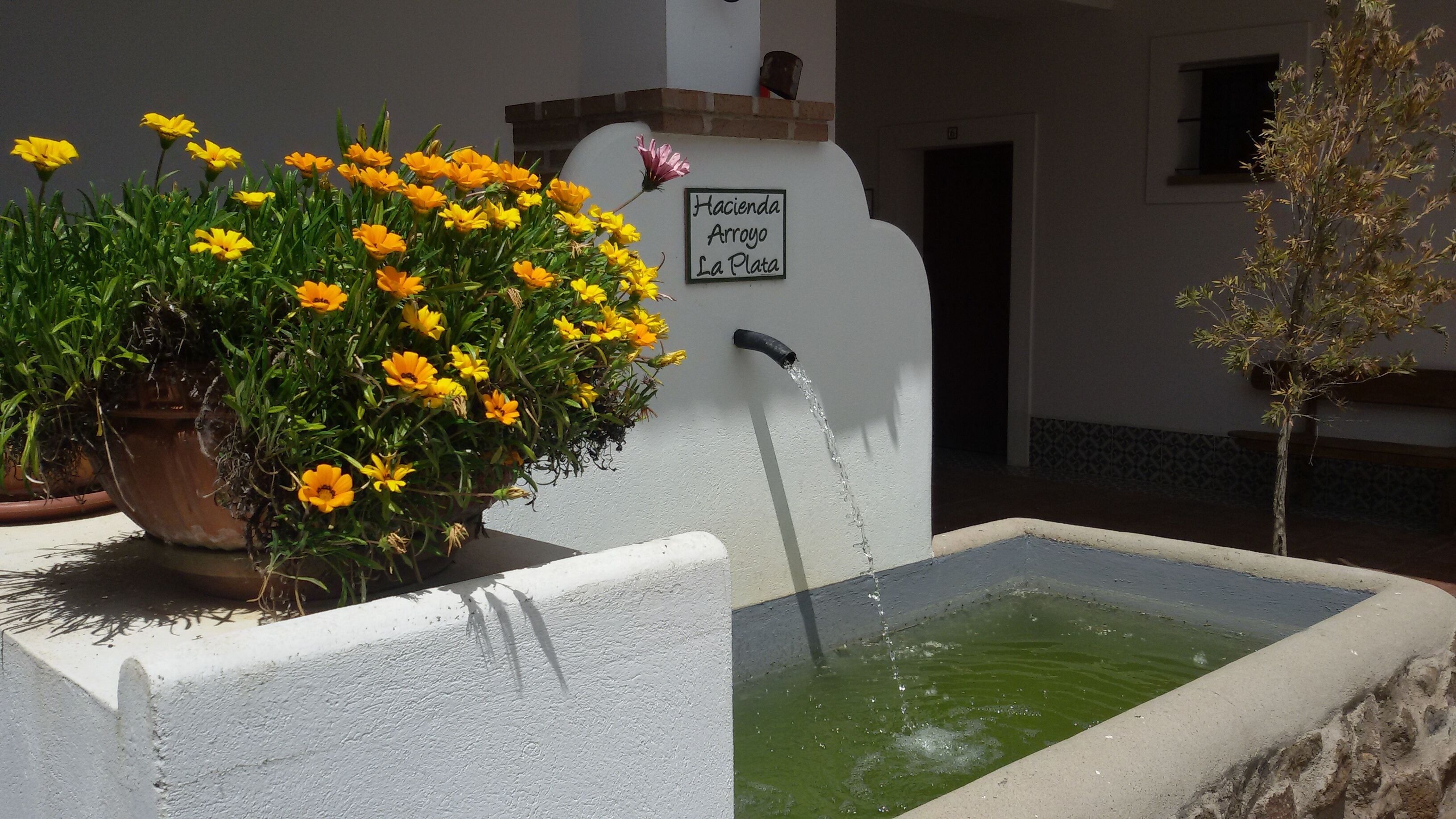 Un elemento acuático con un letrero que dice "Hacienda Arroyo La Plata" y una planta en maceta con flores amarillas.