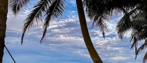 Una hamaca atada entre palmeras sobre una playa arenosa, con cielo despejado.