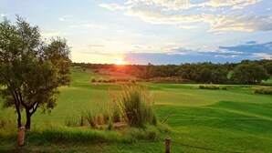 Campo de golf con un árbol y césped en primer plano, cielo despejado y un atardecer al fondo.
