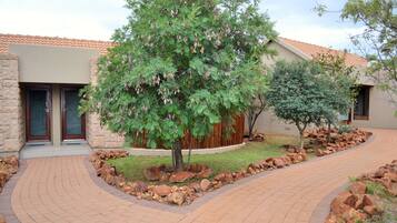A modern building with a curved brick pathway, a large tree with hanging seed pods, and a small tree in the foreground.