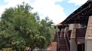 Un edificio de fachada de piedra, con una escalera de madera y una zona de piscina.